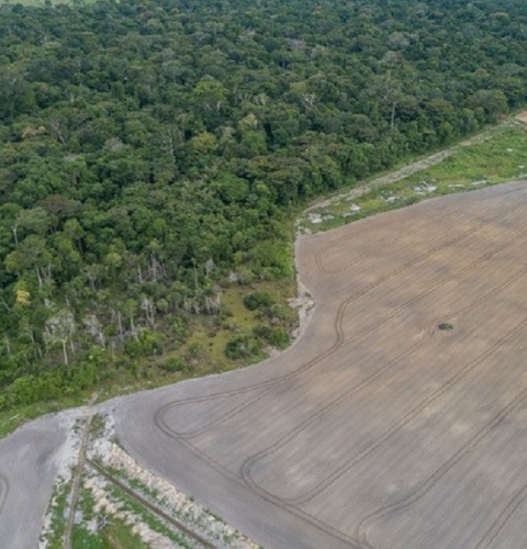 Amazonia-2019-Andre-Dib