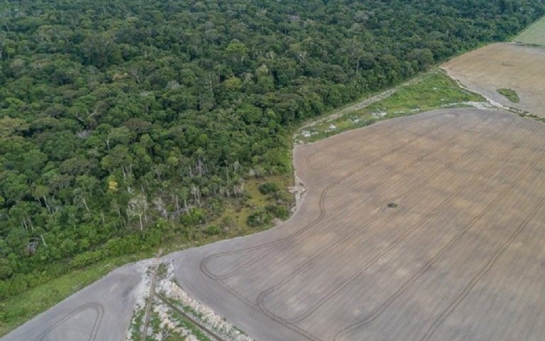 Amazonia-2019-Andre-Dib