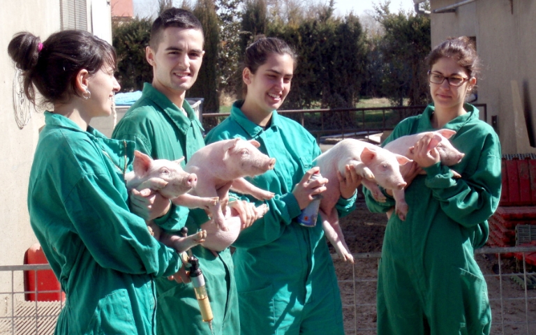 CienciaSalutAnimalUdL